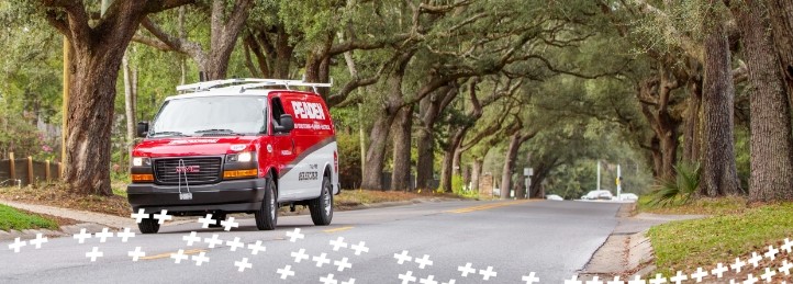 Red service van driving down a tree-lined suburban street with large oak trees overhead.
