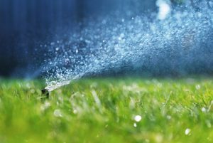 sprinkler-on-lawn