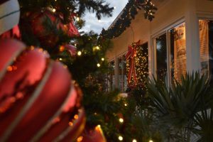 holiday-lights-on-florida-house