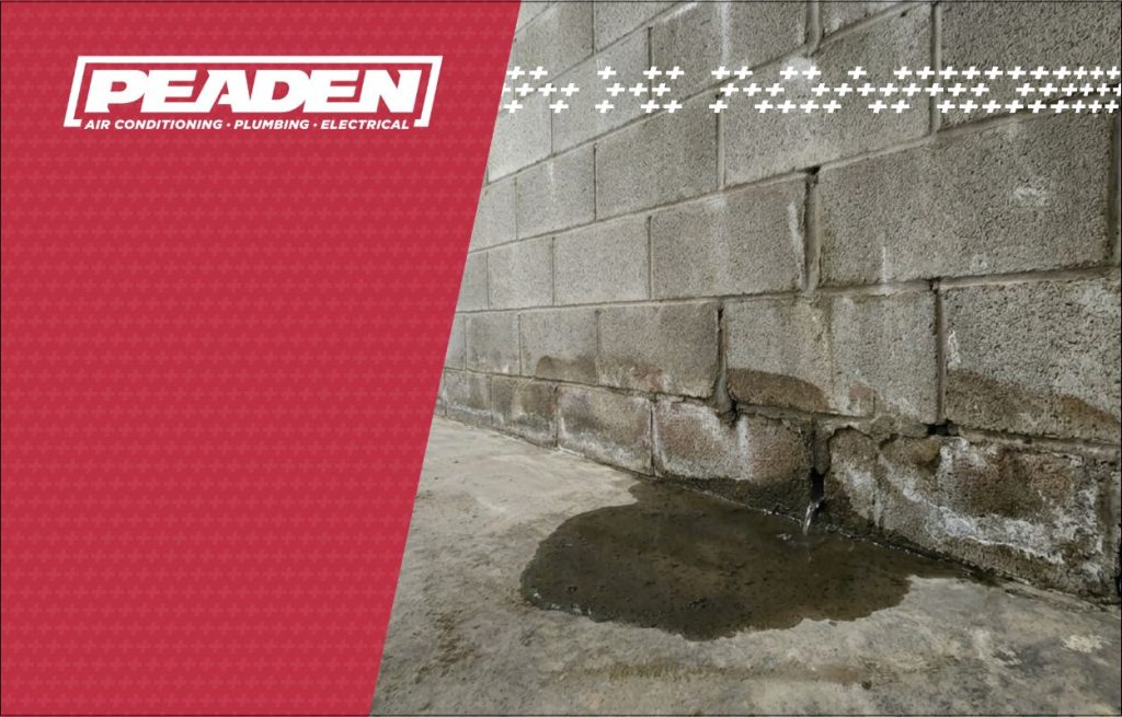 A slab leak in the basement