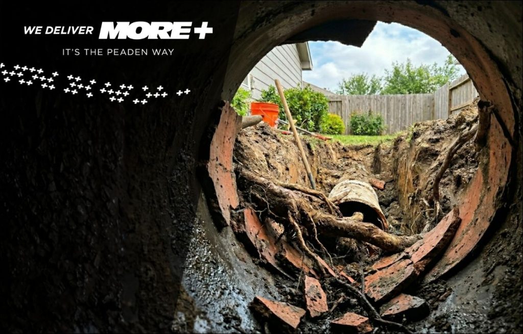 A damaged pipe due to roots.