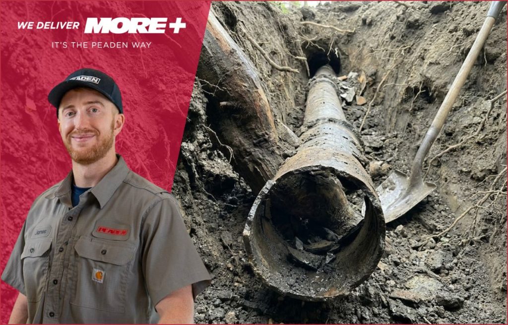 A broken sewer pipe from tree roots.
