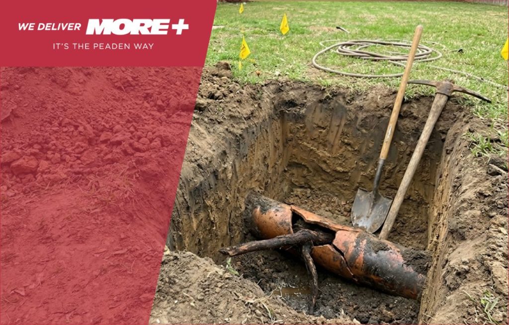 A broken sewer pipe from tree roots.