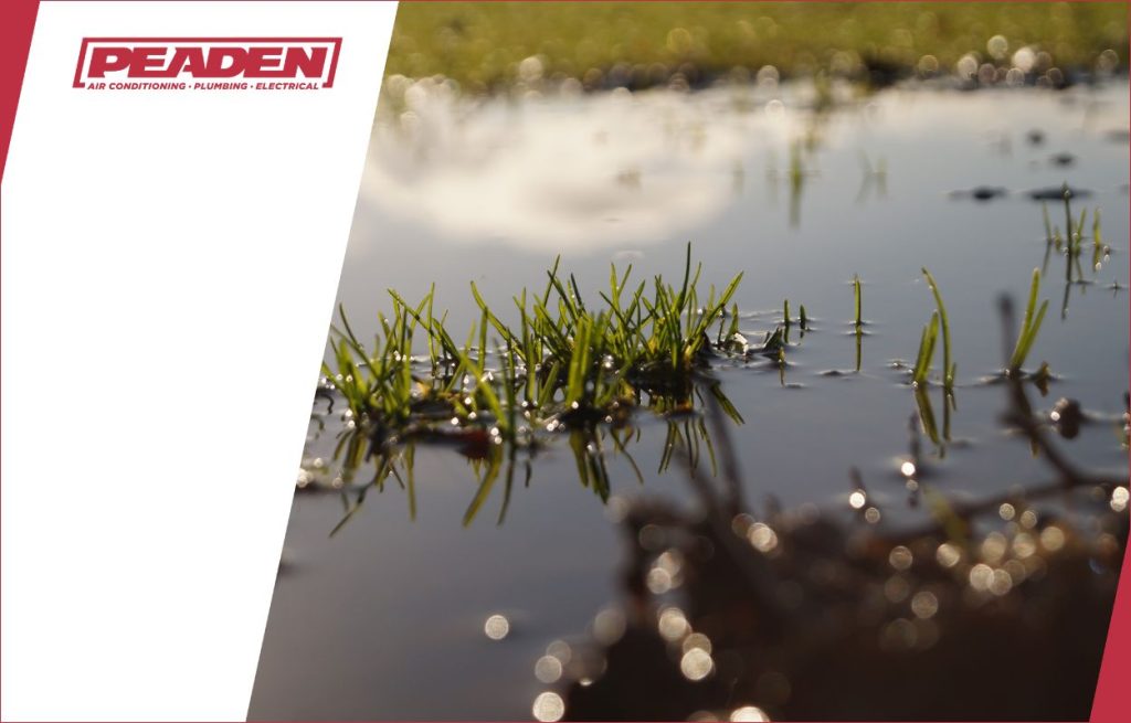 A soggy flooded yard from leaking pipes.